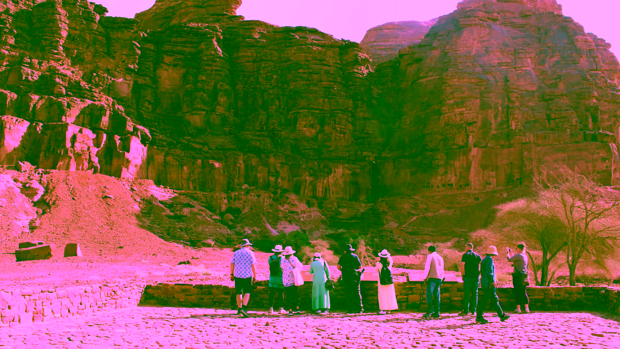 Design system et déclinaisons visuelles